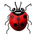 lady bug 3