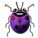 purple lady bug