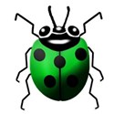 green lady bug