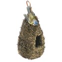 nest hanging bird