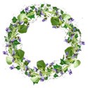 violet ivy wreath