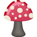 kitc_flutter_mushroom1