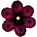 MaroonFloral_1