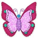 butterfly pink turquoise