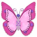 pink pink butterfly