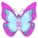 turquoise and purple butterfly