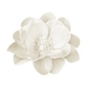 Hflower 01 ivory