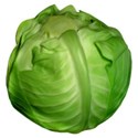 cabbage head