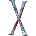 X upper