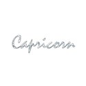 zodiac_chrome_capricorn_scchua