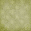 17gypsy rose  background papergreen