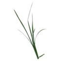 BD_Grass_01