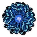 blue flower