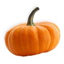 BD_Pumpkin_01