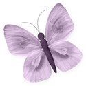 BD_Butterfly_01