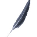 Feather 1