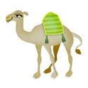 camel 1