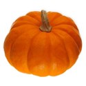 BD_Pumpkin_03