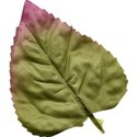 Leaf 03