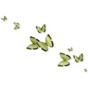 BD_Butterflies_02