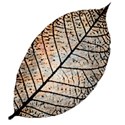 brown leaf