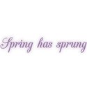 text spring