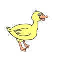 Yellow Duck