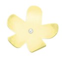yellow single flower