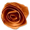 paperflowerorange