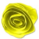 paperfloweryellow