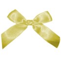 bow yellow 2