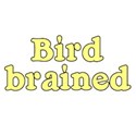 text bird brained