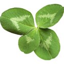 piggyscraps_nlfreebie_4leafclover