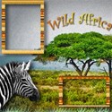 Africa wild life