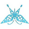 blue butterfly