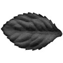 kfd_DTD_leaf