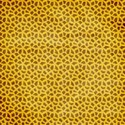 stiereny_gonewild_animalprints