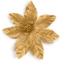 Gold Poinsettia 01