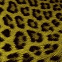 cheetah 3