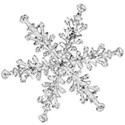 snowflake 2