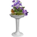 bird bath freebie