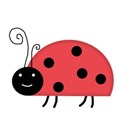 ladybug