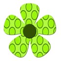 lime flower