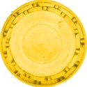 plate yellow (2)