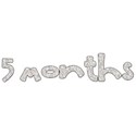 AlbumstoRem_word5months_baby