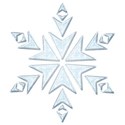 snowflake 1