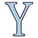 Y 1