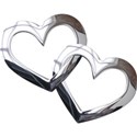 Missy_Chrome_Heart_3