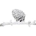 kitc_freshpowder_pinecone2