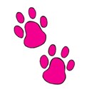 DogPaw2